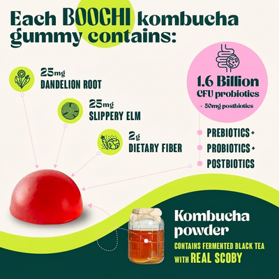 Kombucha Gummies