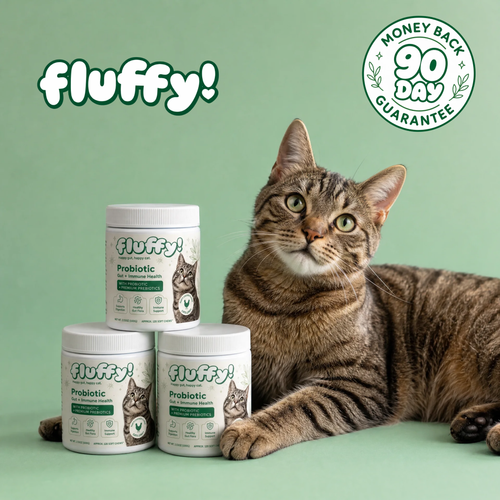 Fluffy Gut Probiotic Chews